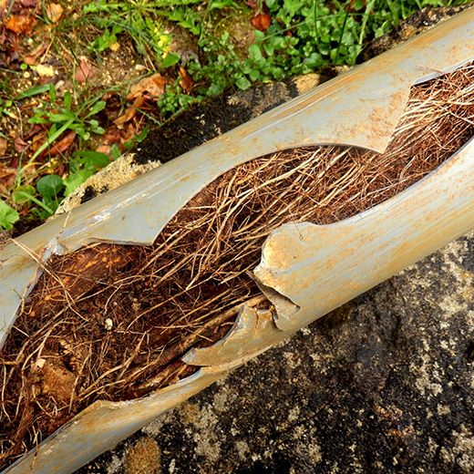 Same Day Drain Sewer & Rooter Pros Across Center Ossipee