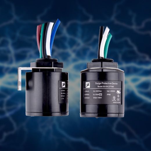 Whole House Surge Protection In Center Ossipee
